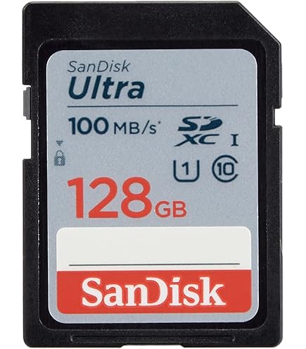 Digi Chip 64GB SDXC Class 10 Memory Card For Canon Powershot SX740